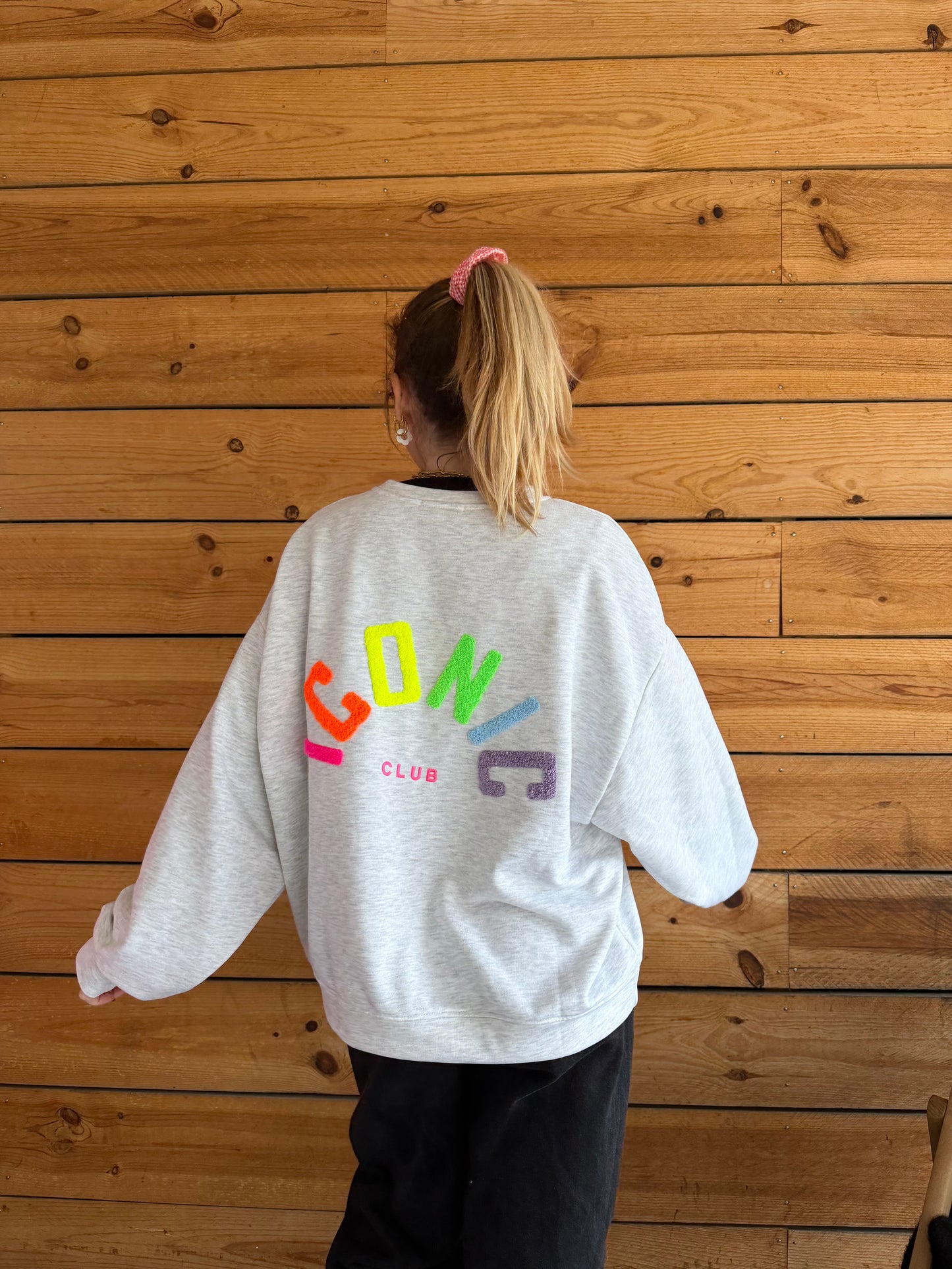 Sweat ICONIC Gris + Multicolore