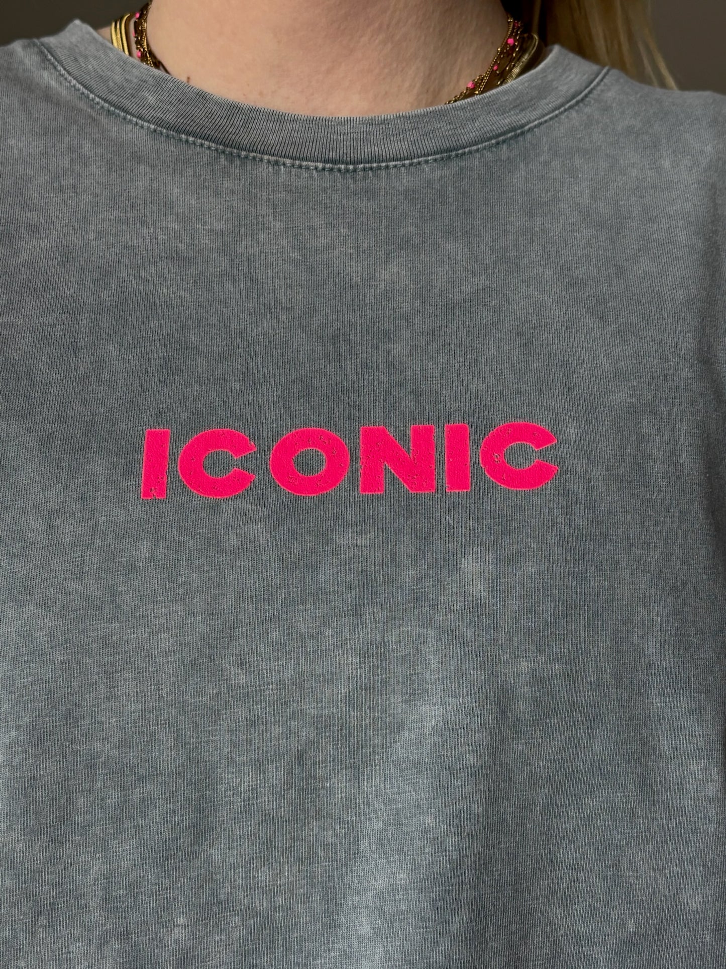 T-shirt ICONIC Gris