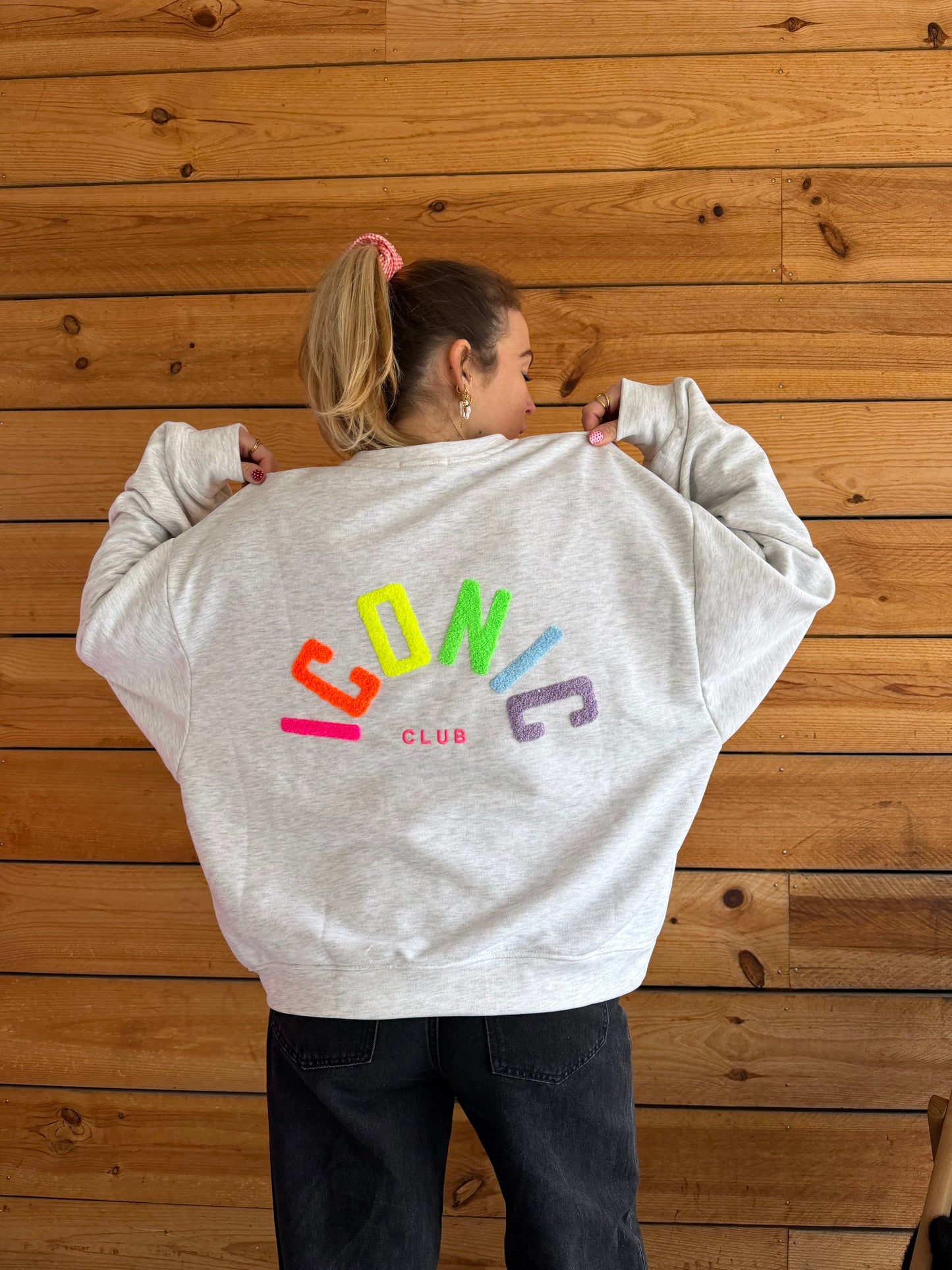 Sweat ICONIC Gris + Multicolore
