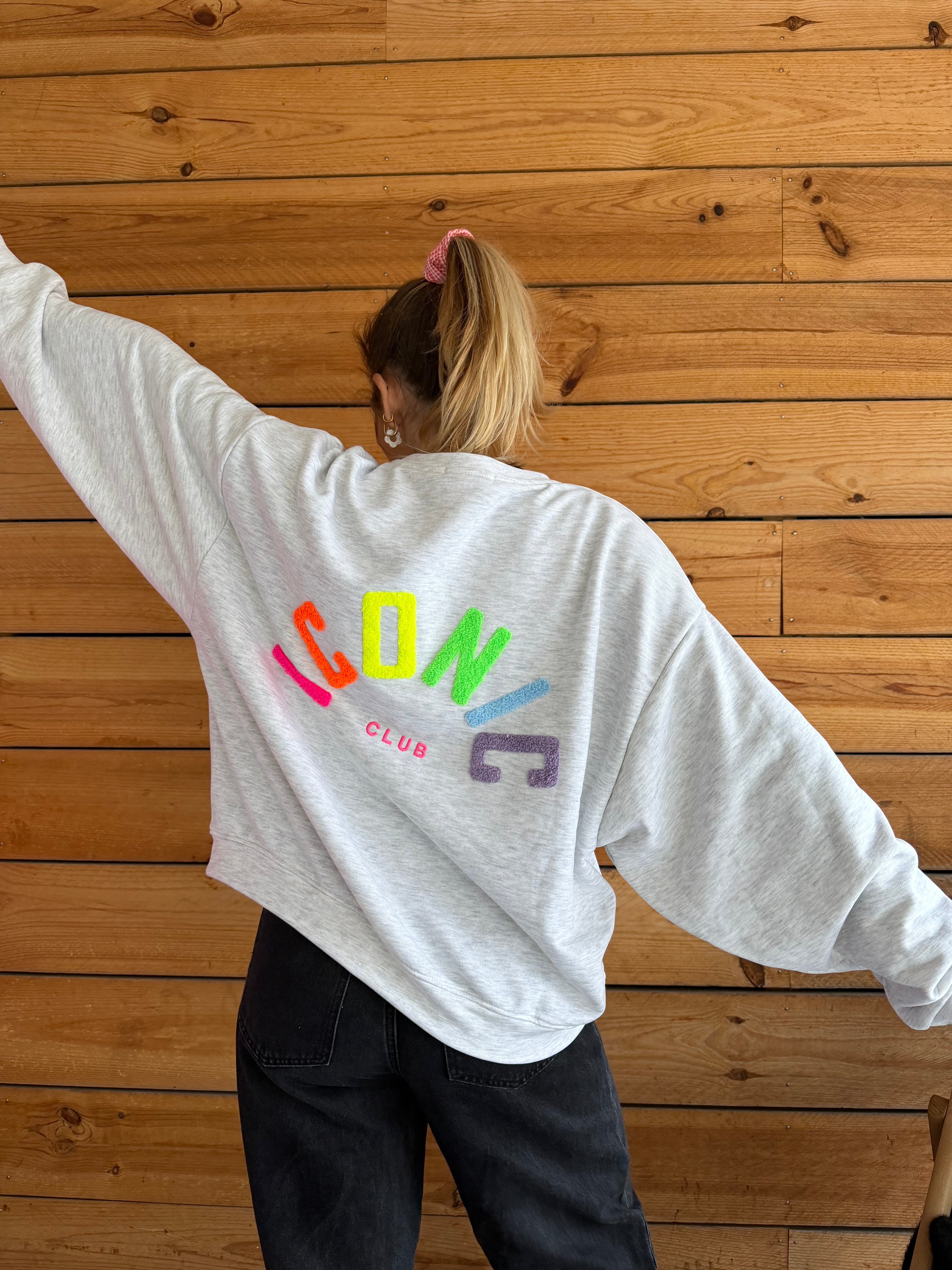 Sweat ICONIC Gris + Multicolore