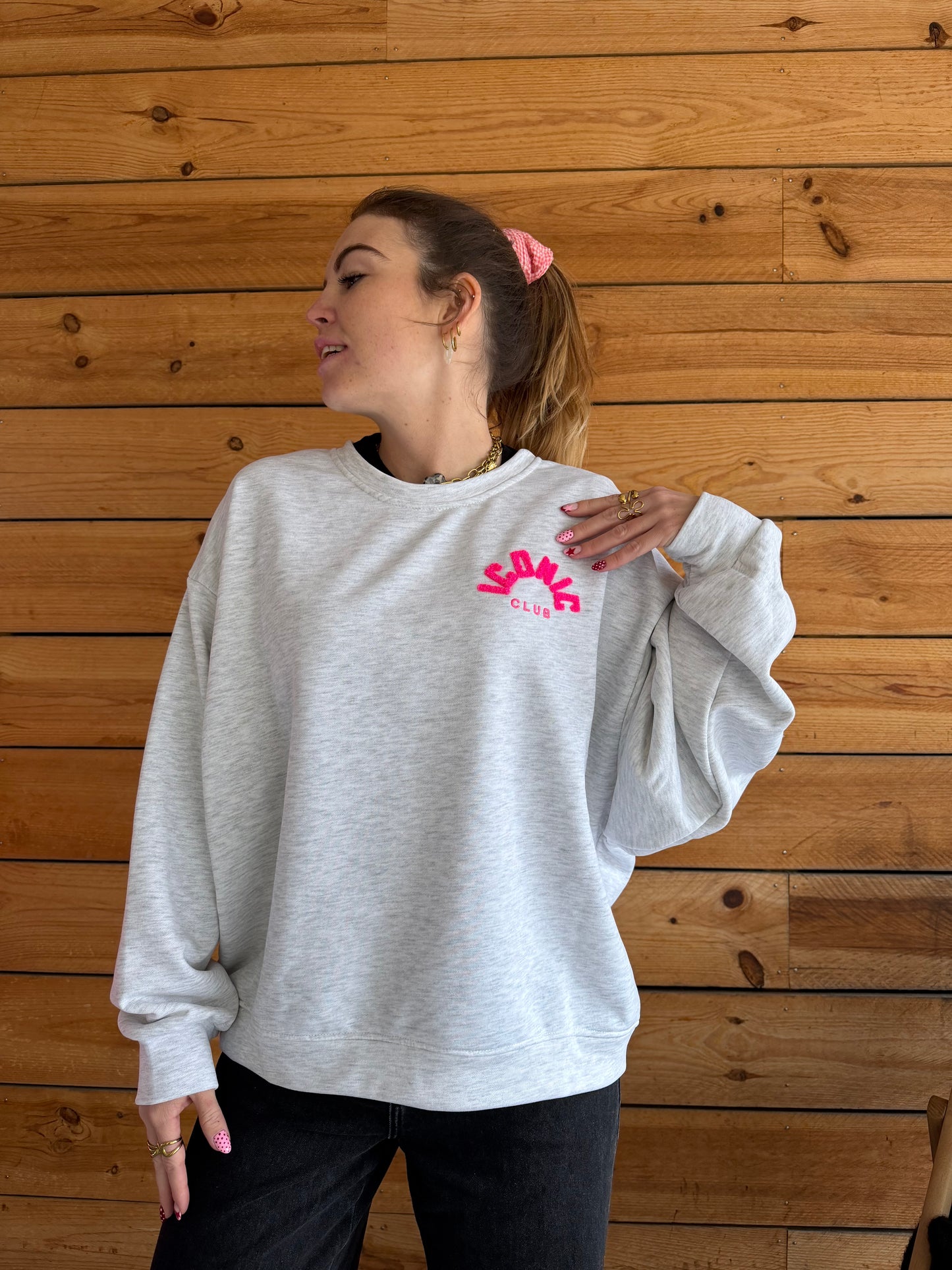 Sweat ICONIC Gris + Multicolore