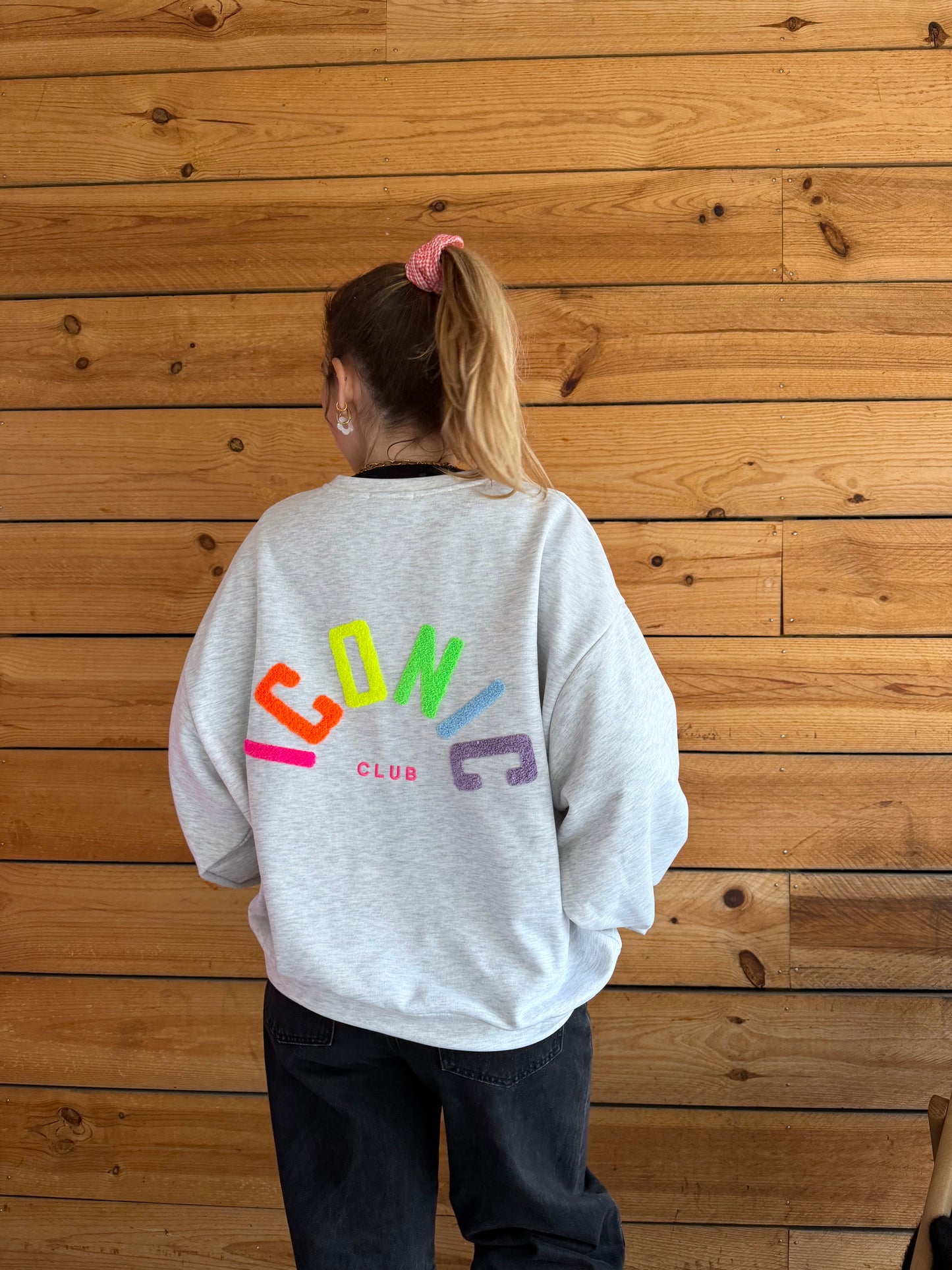 Sweat ICONIC Gris + Multicolore