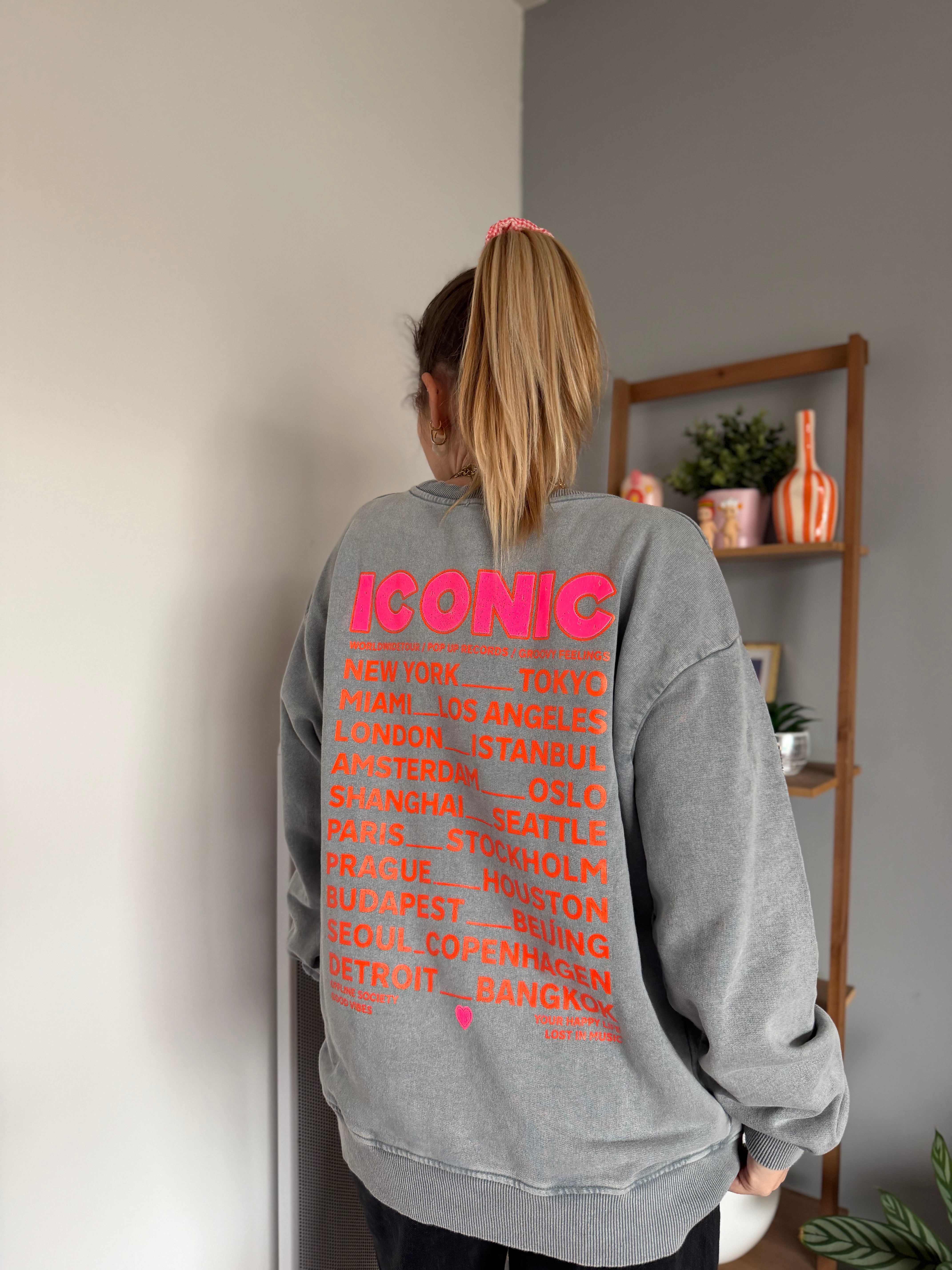 Sweat ICONIC Gris