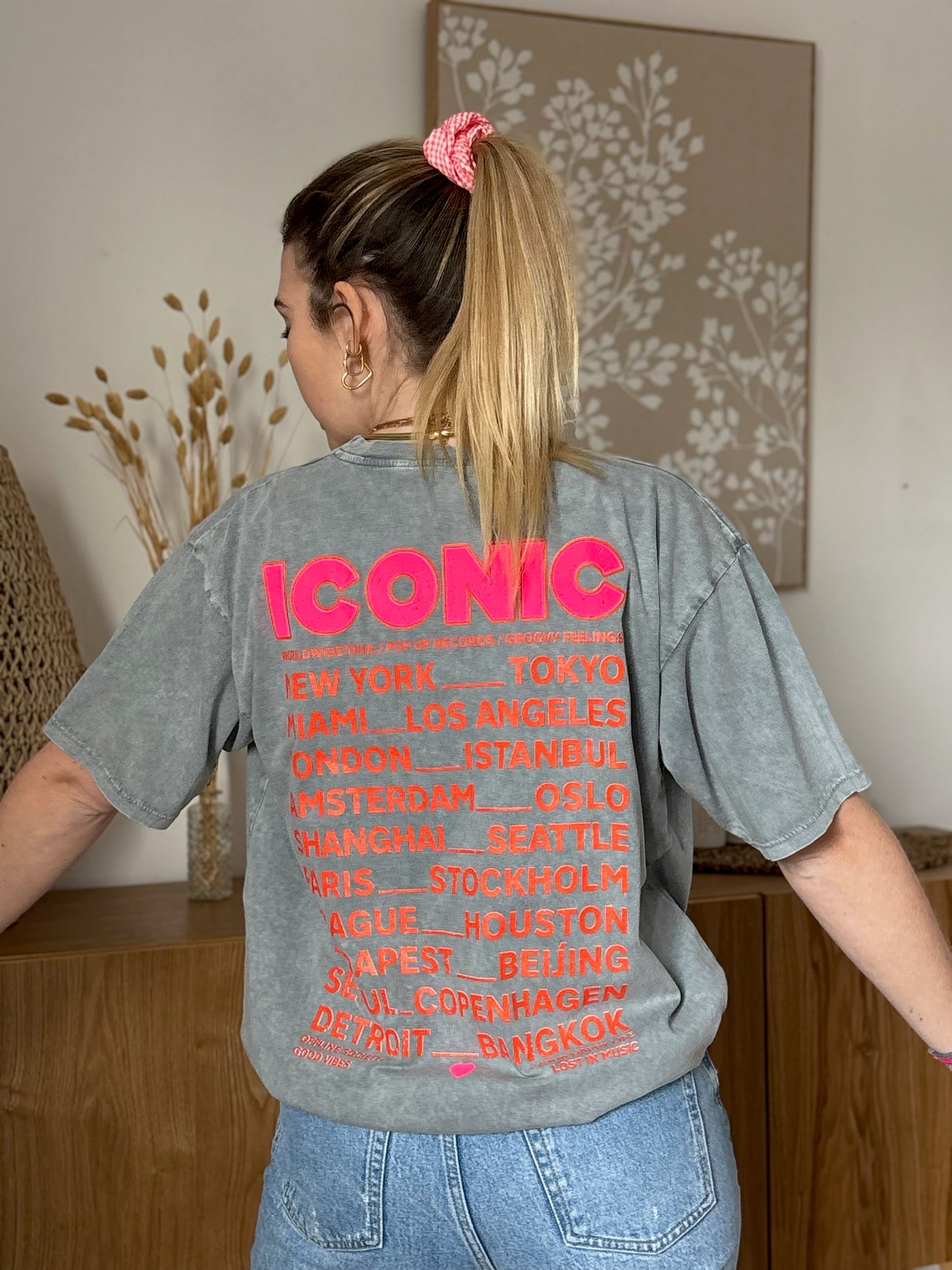 T-shirt ICONIC Gris